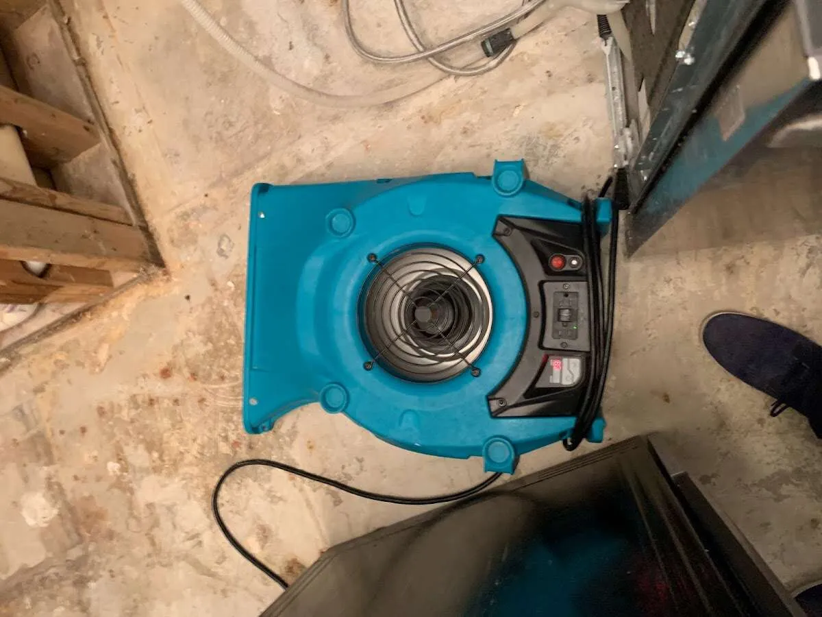 Air mover drying equipment for Mold Remediation & Removal in Del Rio